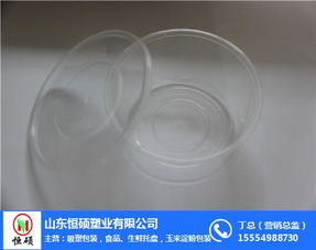 恒碩吸塑包裝 一次性塑料餐盒價格 餐盒